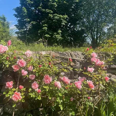 Ferienhaus Finest Retreats - The Nook Bank Newton *